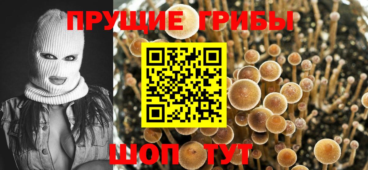Псилоцибиновые грибы мухоморы  Вход с VPN  Лениногорск 